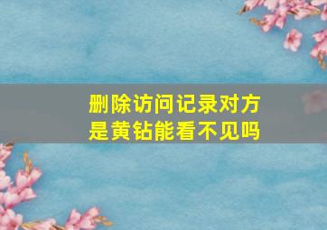 删除访问记录对方是黄钻能看不见吗