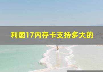 利图17内存卡支持多大的