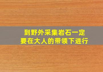 到野外采集岩石一定要在大人的带领下进行