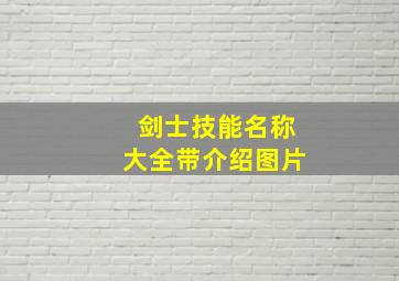 剑士技能名称大全带介绍图片