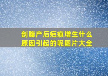 剖腹产后疤痕增生什么原因引起的呢图片大全