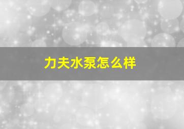 力夫水泵怎么样