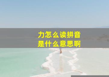 力怎么读拼音是什么意思啊