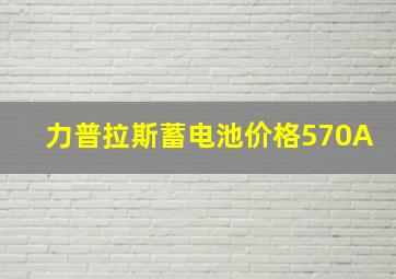 力普拉斯蓄电池价格570A