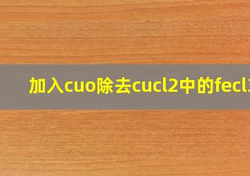 加入cuo除去cucl2中的fecl3