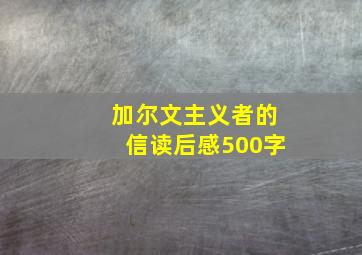 加尔文主义者的信读后感500字