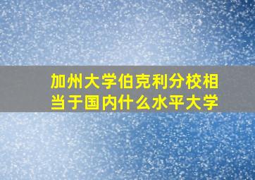 加州大学伯克利分校相当于国内什么水平大学