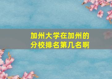 加州大学在加州的分校排名第几名啊