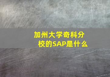 加州大学奇科分校的SAP是什么