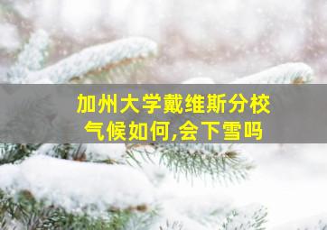 加州大学戴维斯分校气候如何,会下雪吗