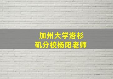 加州大学洛杉矶分校杨阳老师