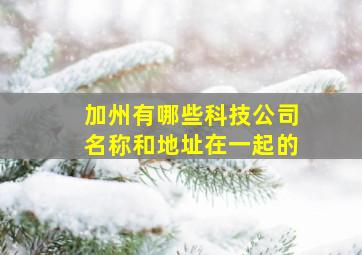 加州有哪些科技公司名称和地址在一起的