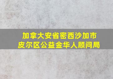 加拿大安省密西沙加市皮尔区公益金华人顾问局