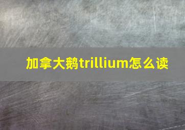 加拿大鹅trillium怎么读