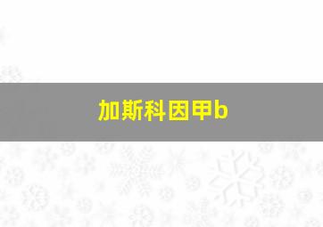 加斯科因甲b