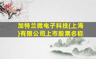 加特兰微电子科技(上海)有限公司上市股票名称