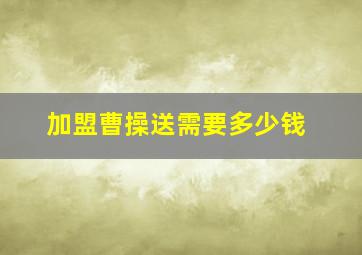 加盟曹操送需要多少钱