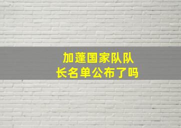 加蓬国家队队长名单公布了吗