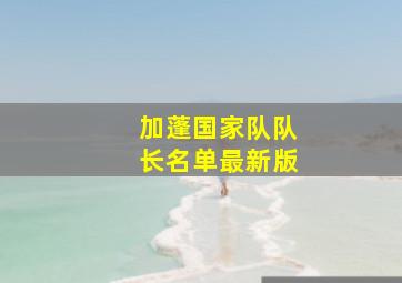 加蓬国家队队长名单最新版