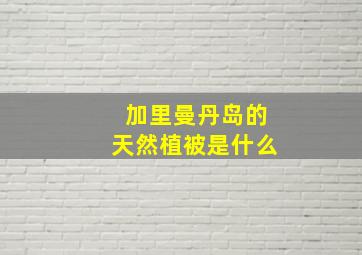 加里曼丹岛的天然植被是什么