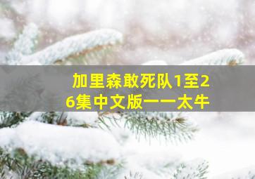 加里森敢死队1至26集中文版一一太牛