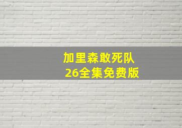 加里森敢死队26全集免费版