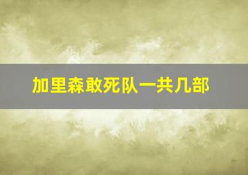 加里森敢死队一共几部