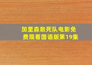 加里森敢死队电影免费观看国语版第19集