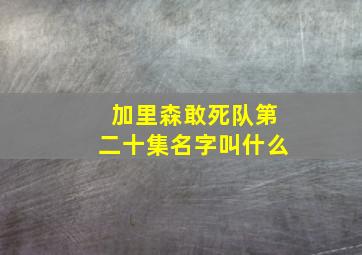 加里森敢死队第二十集名字叫什么