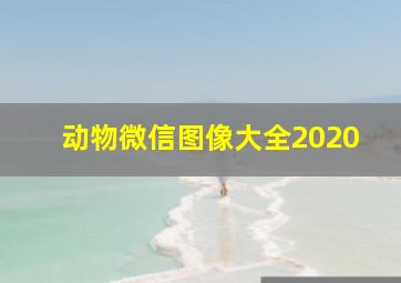 动物微信图像大全2020