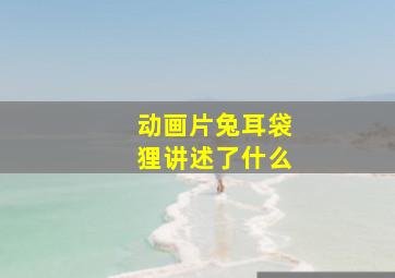 动画片兔耳袋狸讲述了什么