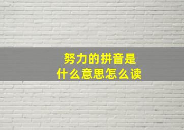 努力的拼音是什么意思怎么读