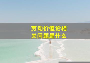 劳动价值论相关问题是什么