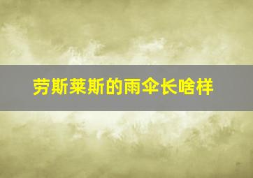 劳斯莱斯的雨伞长啥样