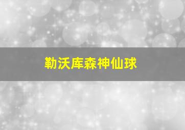 勒沃库森神仙球