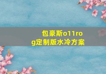 包豪斯o11rog定制版水冷方案