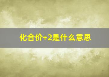 化合价+2是什么意思