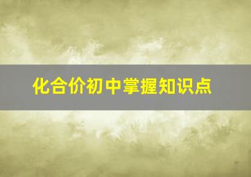 化合价初中掌握知识点