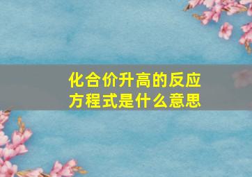 化合价升高的反应方程式是什么意思