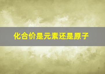 化合价是元素还是原子