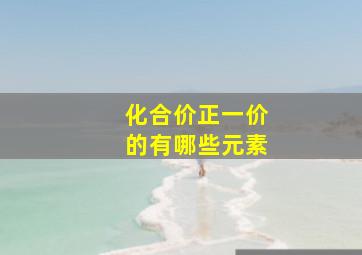 化合价正一价的有哪些元素