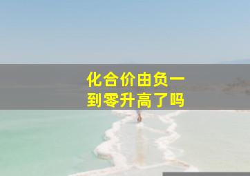 化合价由负一到零升高了吗