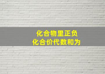 化合物里正负化合价代数和为