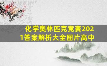 化学奥林匹克竞赛2021答案解析大全图片高中