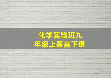 化学实验班九年级上答案下册