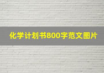 化学计划书800字范文图片