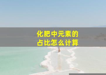 化肥中元素的占比怎么计算