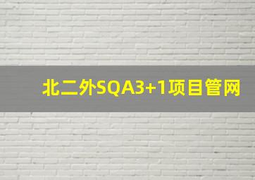 北二外SQA3+1项目管网