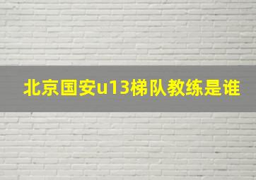 北京国安u13梯队教练是谁