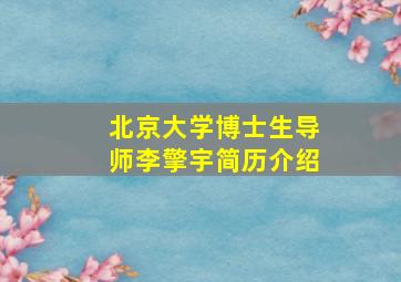 北京大学博士生导师李擎宇简历介绍